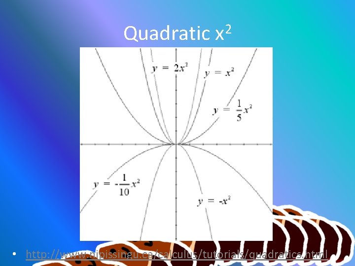 Quadratic x 2 • http: //www. nipissingu. ca/calculus/tutorials/quadratics. html 