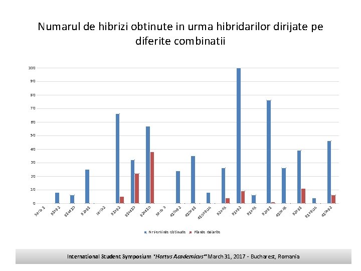 Numarul de hibrizi obtinute in urma hibridarilor dirijate pe diferite combinatii 100 90 80