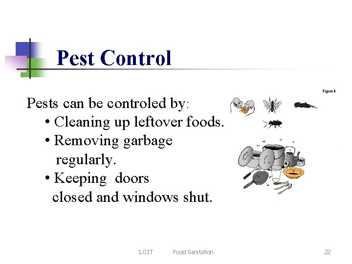 Pest Control Pests can be controled by: • Cleaning up leftover foods. • Removing