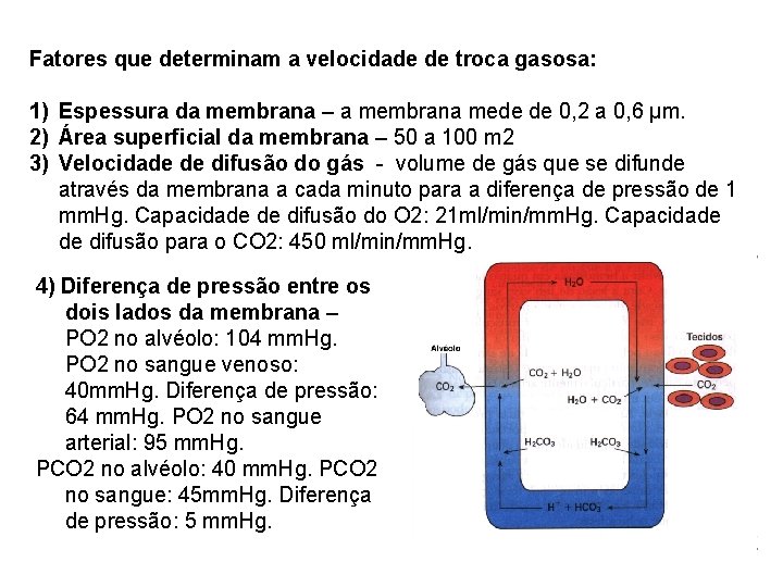 Fatores que determinam a velocidade de troca gasosa: 1) Espessura da membrana – a