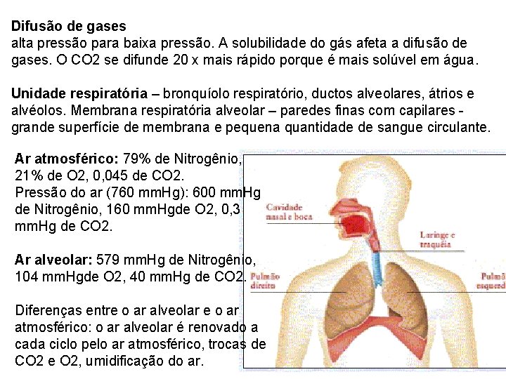 Difusão de gases alta pressão para baixa pressão. A solubilidade do gás afeta a