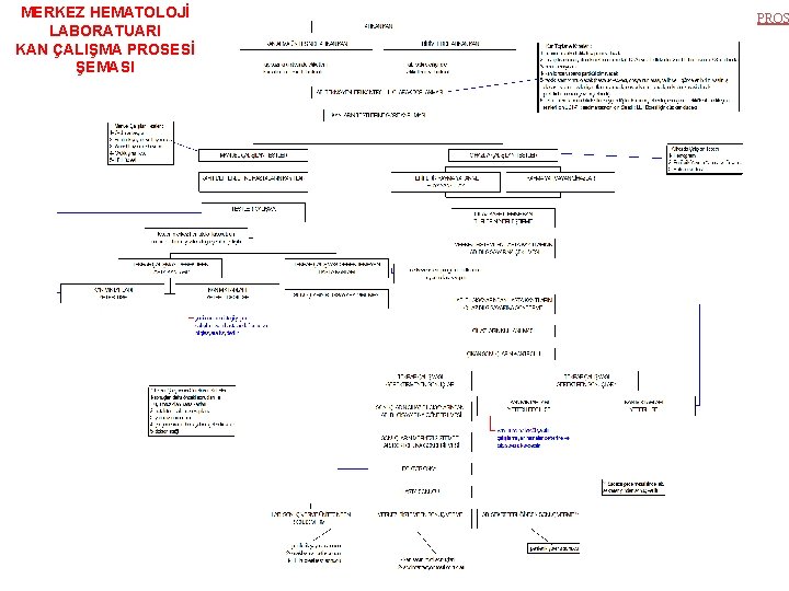 MERKEZ HEMATOLOJİ LABORATUARI KAN ÇALIŞMA PROSESİ ŞEMASI PROS 