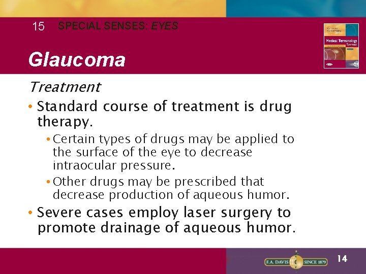 15 SPECIAL SENSES: EYES Glaucoma Treatment • Standard course of treatment is drug therapy.