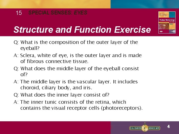 15 SPECIAL SENSES: EYES Structure and Function Exercise Q: What is the composition of