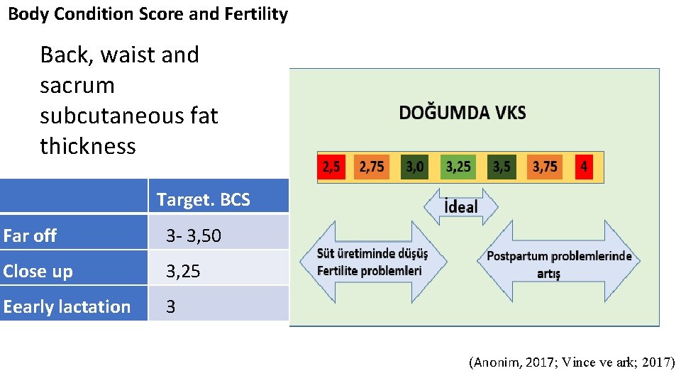 Body Condition Score and Fertility Back, waist and sacrum subcutaneous fat thickness Target. BCS