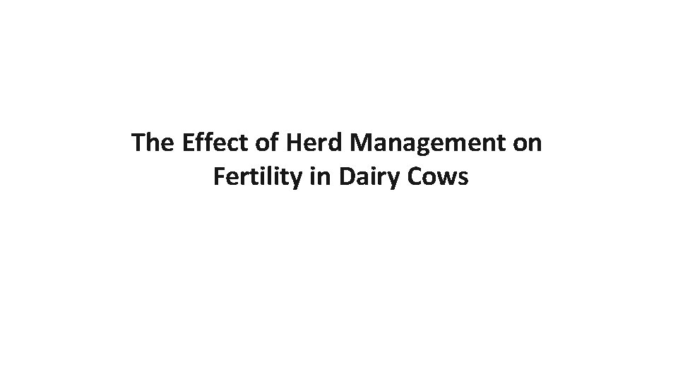 The Effect of Herd Management on Fertility in Dairy Cows 