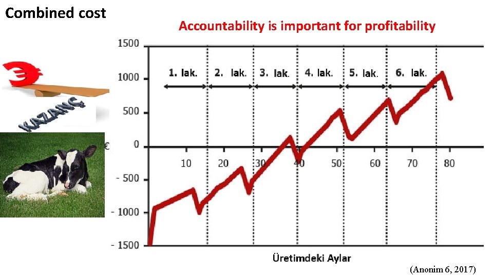 Combined cost Accountability is important for profitability (Anonim 6, 2017) 