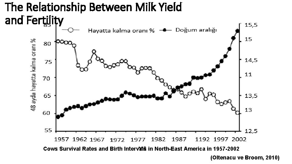  The Relationship Between Milk Yield and Fertility Cows Survival Rates and Birth Intervals