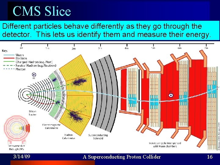 CMS Slice Different particles behave differently as they go through the detector. This lets