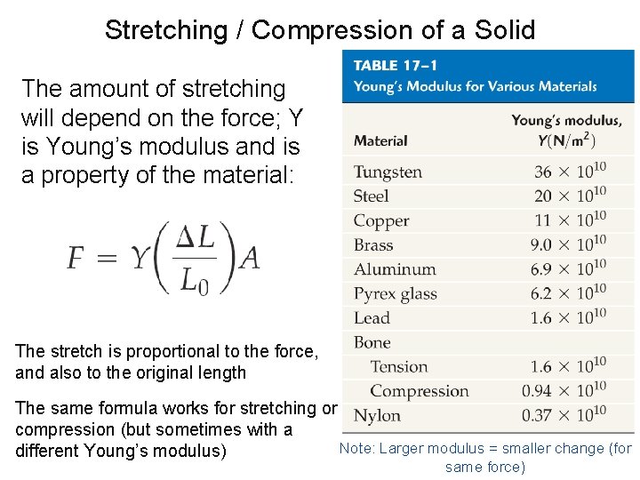 Stretching / Compression of a Solid The amount of stretching will depend on the