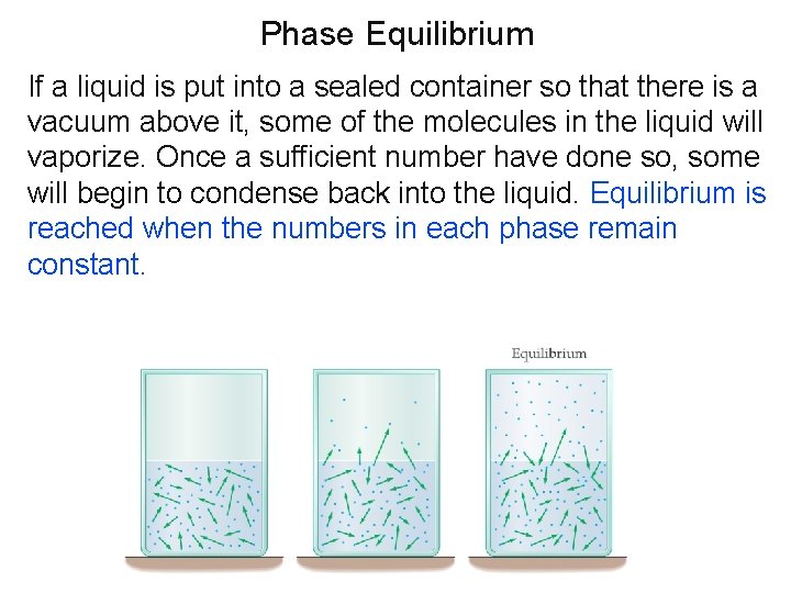 Phase Equilibrium If a liquid is put into a sealed container so that there