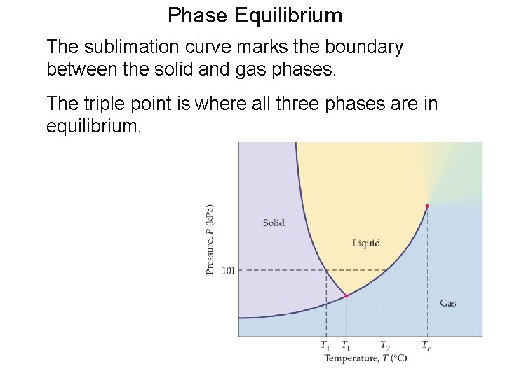 Phase Equilibrium The sublimation curve marks the boundary between the solid and gas phases.