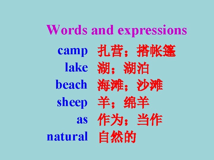 Words and expressions camp lake beach sheep as natural 扎营；搭帐篷 湖；湖泊 海滩；沙滩 羊；绵羊 作为；当作