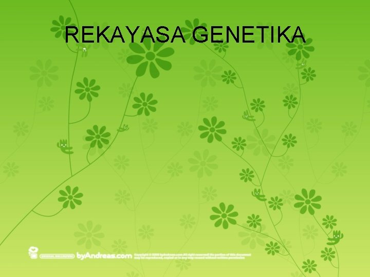 REKAYASA GENETIKA 