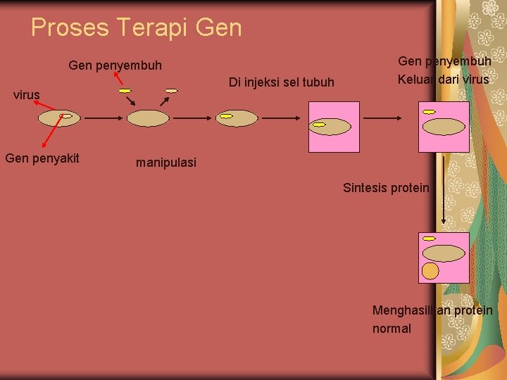 Proses Terapi Gen penyembuh Di injeksi sel tubuh virus Gen penyakit Gen penyembuh Keluar