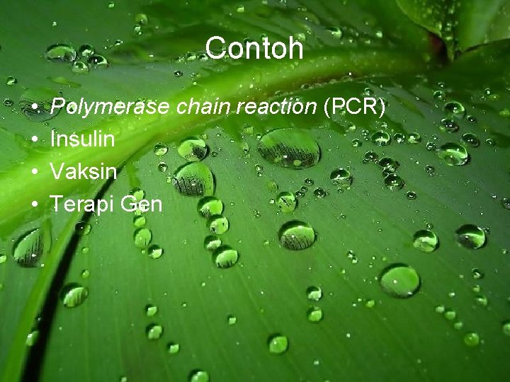 Contoh • • Polymerase chain reaction (PCR) Insulin Vaksin Terapi Gen Contoh • • Polymerase chain reaction (PCR) Insulin Vaksin Terapi Gen