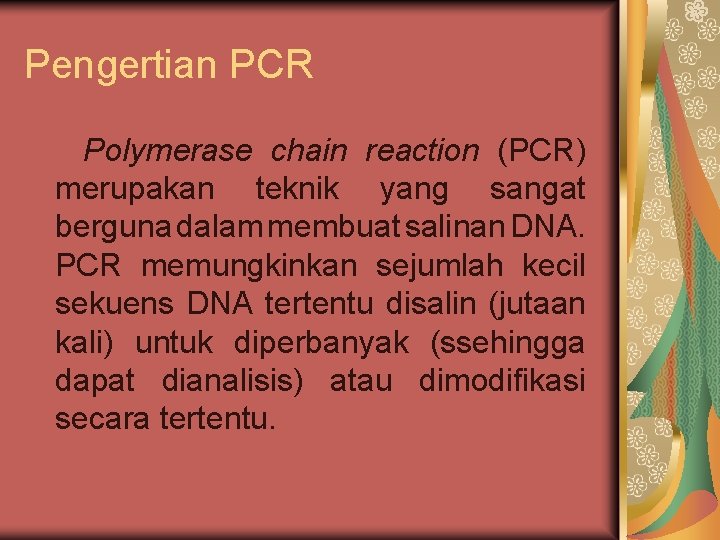 Pengertian PCR Polymerase chain reaction (PCR) merupakan teknik yang sangat berguna dalam membuat salinan Pengertian PCR Polymerase chain reaction (PCR) merupakan teknik yang sangat berguna dalam membuat salinan