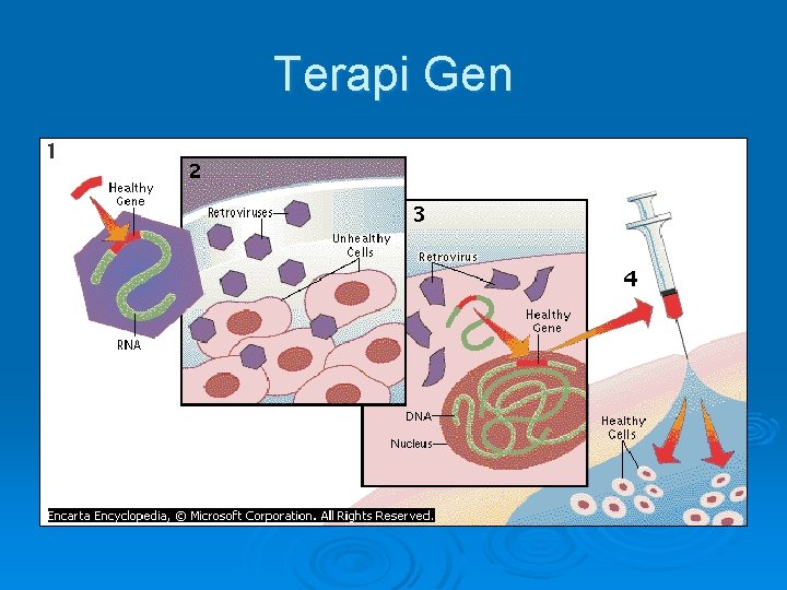 Terapi Gen Terapi Gen