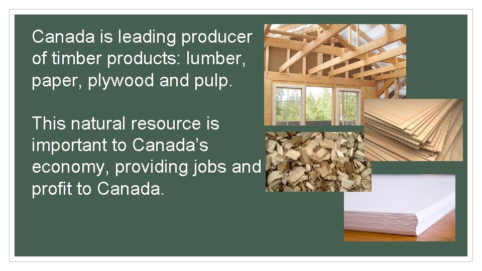 Canada is leading producer of timber products: lumber, paper, plywood and pulp. This natural Canada is leading producer of timber products: lumber, paper, plywood and pulp. This natural