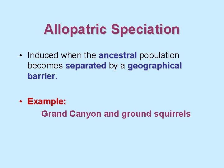 Allopatric Speciation • Induced when the ancestral population becomes separated by a geographical barrier.