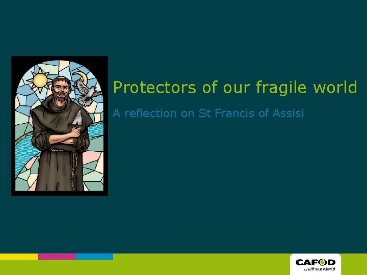 Protectors of our fragile world A reflection on St Francis of Assisi 