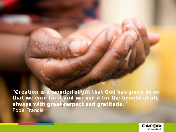 “Creation is a wonderful gift that God has given us so that we care