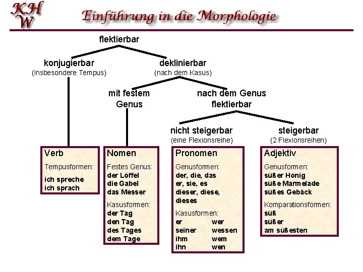 flektierbar konjugierbar deklinierbar (insbesondere Tempus) (nach dem Kasus) mit festem Genus nach dem Genus