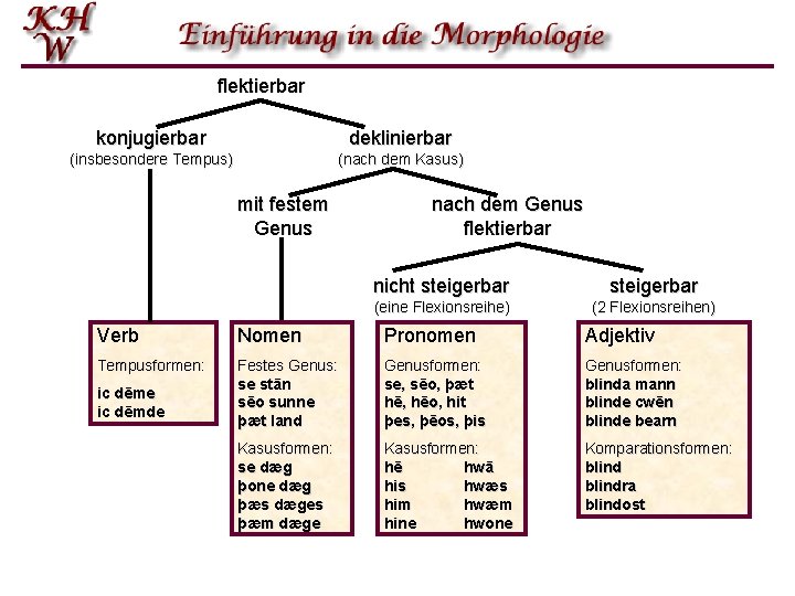 flektierbar konjugierbar deklinierbar (insbesondere Tempus) (nach dem Kasus) mit festem Genus nach dem Genus