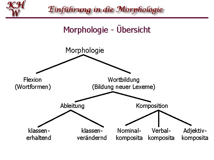 Morphologie - Übersicht Morphologie Flexion (Wortformen) Wortbildung (Bildung neuer Lexeme) Ableitung klassenerhaltend klassenverändernd Komposition