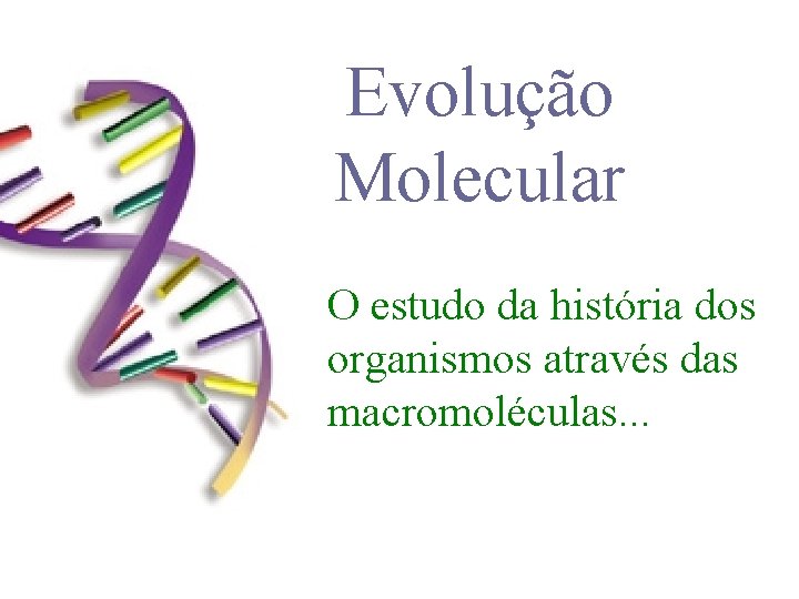 Evolução Molecular O estudo da história dos organismos através das macromoléculas. . . 