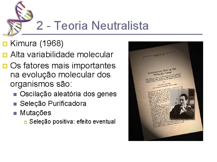 2 - Teoria Neutralista Kimura (1968) p Alta variabilidade molecular p Os fatores mais