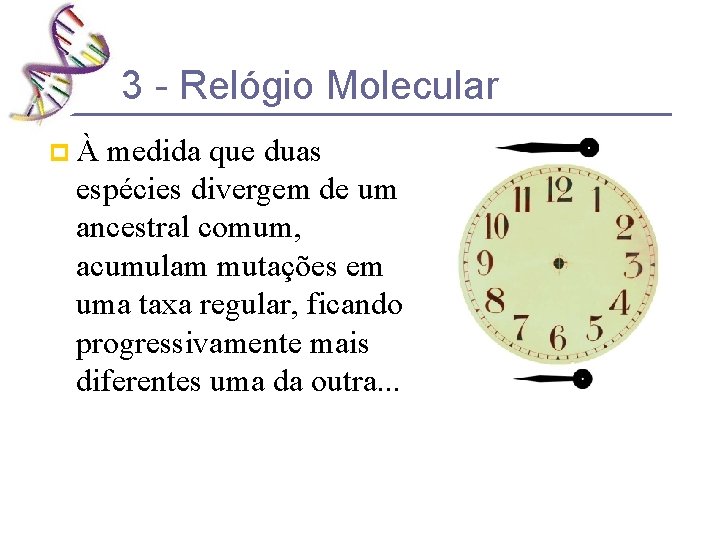 3 - Relógio Molecular pÀ medida que duas espécies divergem de um ancestral comum,