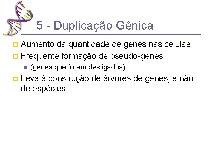 5 - Duplicação Gênica Aumento da quantidade de genes nas células p Frequente formação