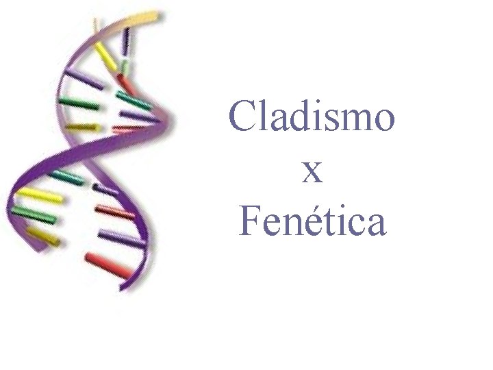 Cladismo x Fenética 