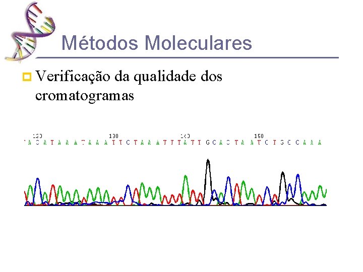 Métodos Moleculares p Verificação da qualidade dos cromatogramas 