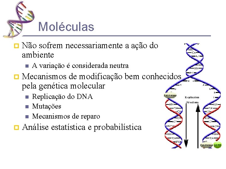 Moléculas p Não sofrem necessariamente a ação do ambiente n p Mecanismos de modificação