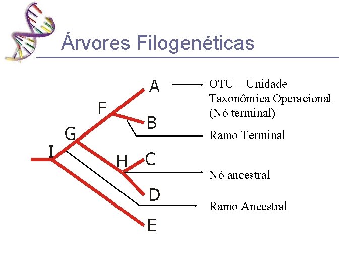 Árvores Filogenéticas A F I G B H C D E OTU – Unidade