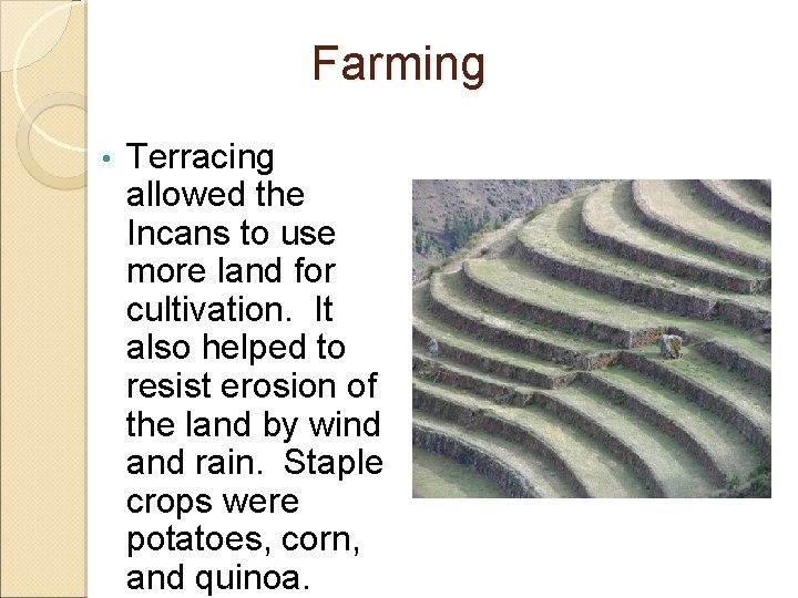 Farming • Terracing allowed the Incans to use more land for cultivation. It also