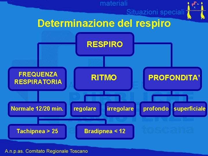 Determinazione del respiro RESPIRO FREQUENZA RESPIRATORIA Normale 12/20 min. Tachipnea > 25 RITMO regolare