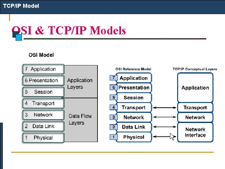 TCP/IP Model OSI & TCP/IP Models 