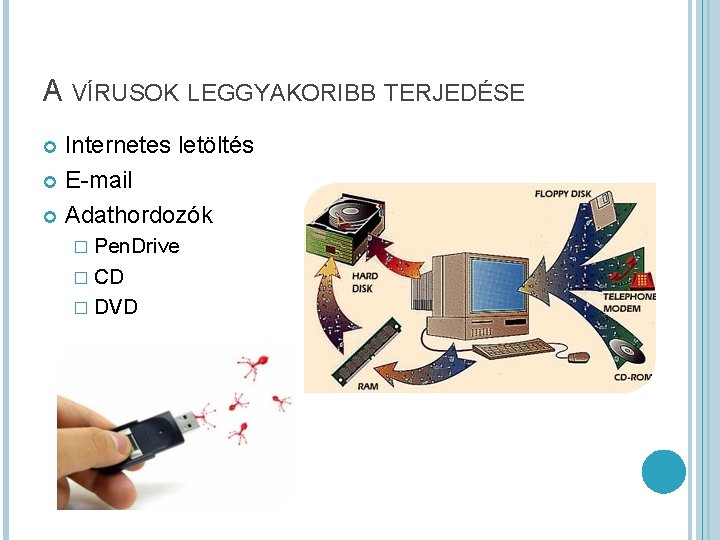 A VÍRUSOK LEGGYAKORIBB TERJEDÉSE Internetes letöltés E-mail Adathordozók � Pen. Drive � CD �