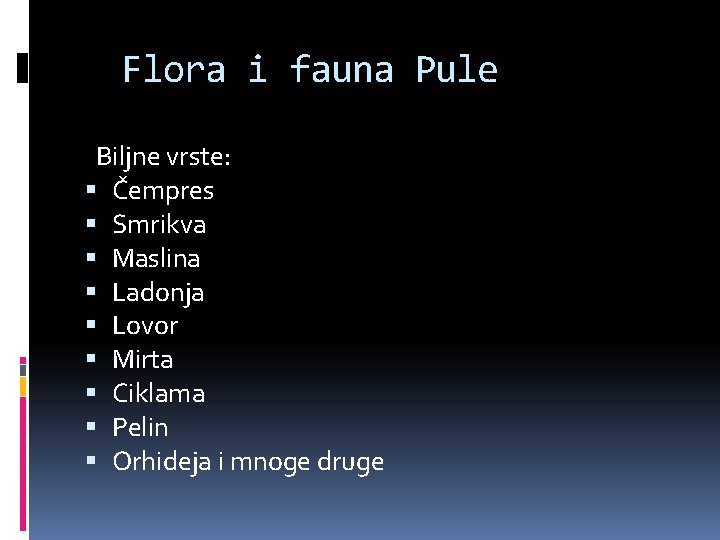 Flora i fauna Pule Biljne vrste: Čempres Smrikva Maslina Ladonja Lovor Mirta Ciklama Pelin