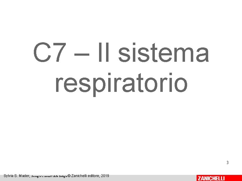 C 7 – Il sistema respiratorio 3 Sylvia S. Mader, Immagini e concetti della