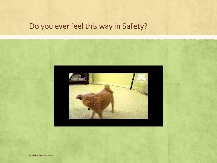 Do you ever feel this way in Safety? Mc. Neilus Steel, Inc. 2016 Do you ever feel this way in Safety? Mc. Neilus Steel, Inc. 2016