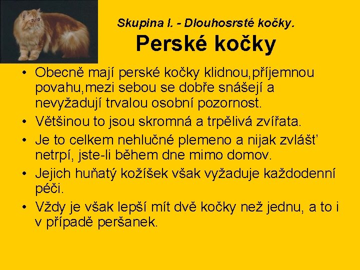 Skupina I. - Dlouhosrsté kočky. Perské kočky • Obecně mají perské kočky klidnou, příjemnou