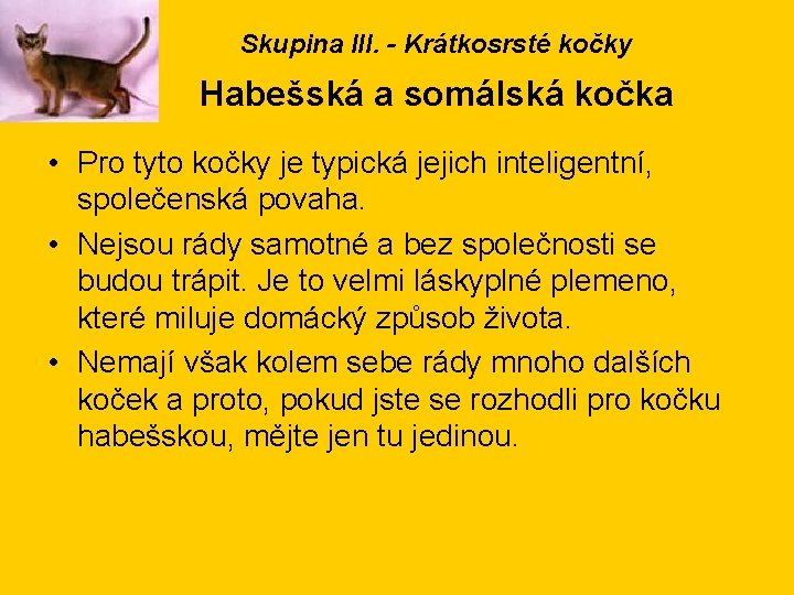 Skupina III. - Krátkosrsté kočky Habešská a somálská kočka • Pro tyto kočky je