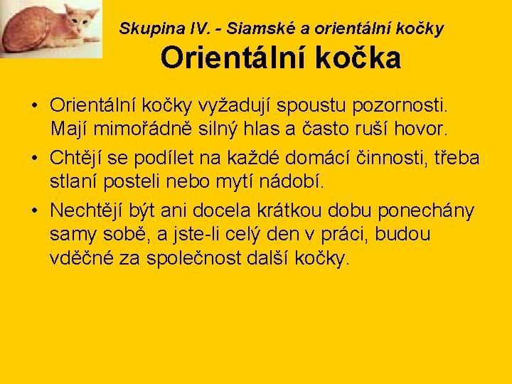 Skupina IV. - Siamské a orientální kočky Orientální kočka • Orientální kočky vyžadují spoustu