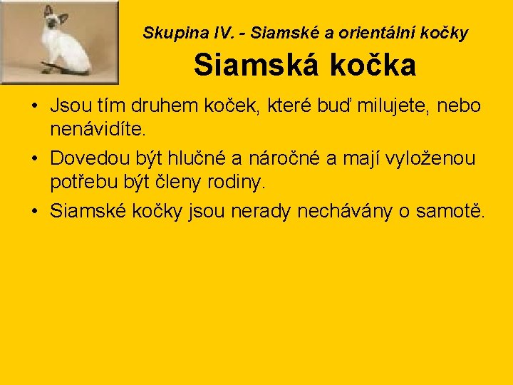 Skupina IV. - Siamské a orientální kočky Siamská kočka • Jsou tím druhem koček,