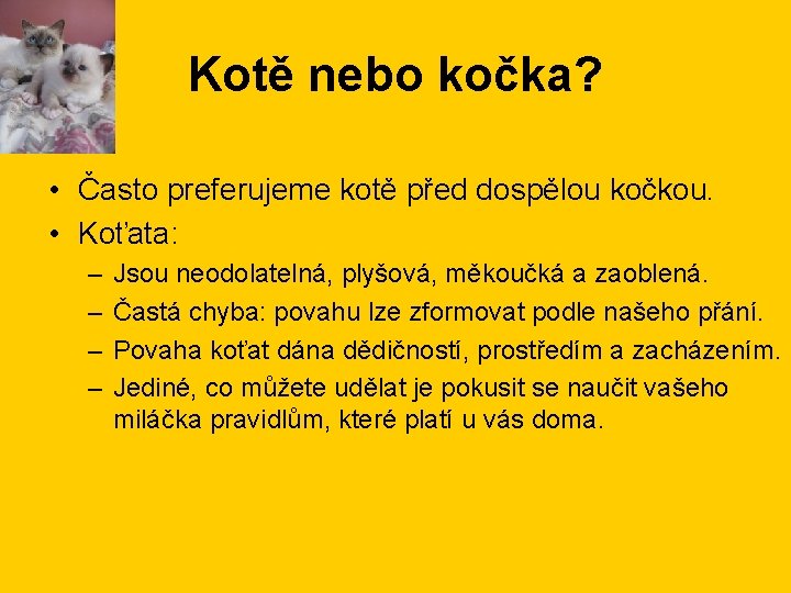 Kotě nebo kočka? • Často preferujeme kotě před dospělou kočkou. • Koťata: – –