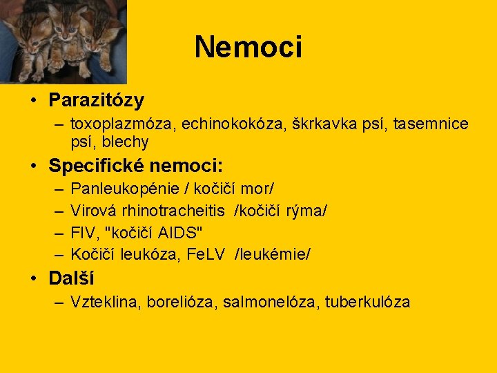 Nemoci • Parazitózy – toxoplazmóza, echinokokóza, škrkavka psí, tasemnice psí, blechy • Specifické nemoci: